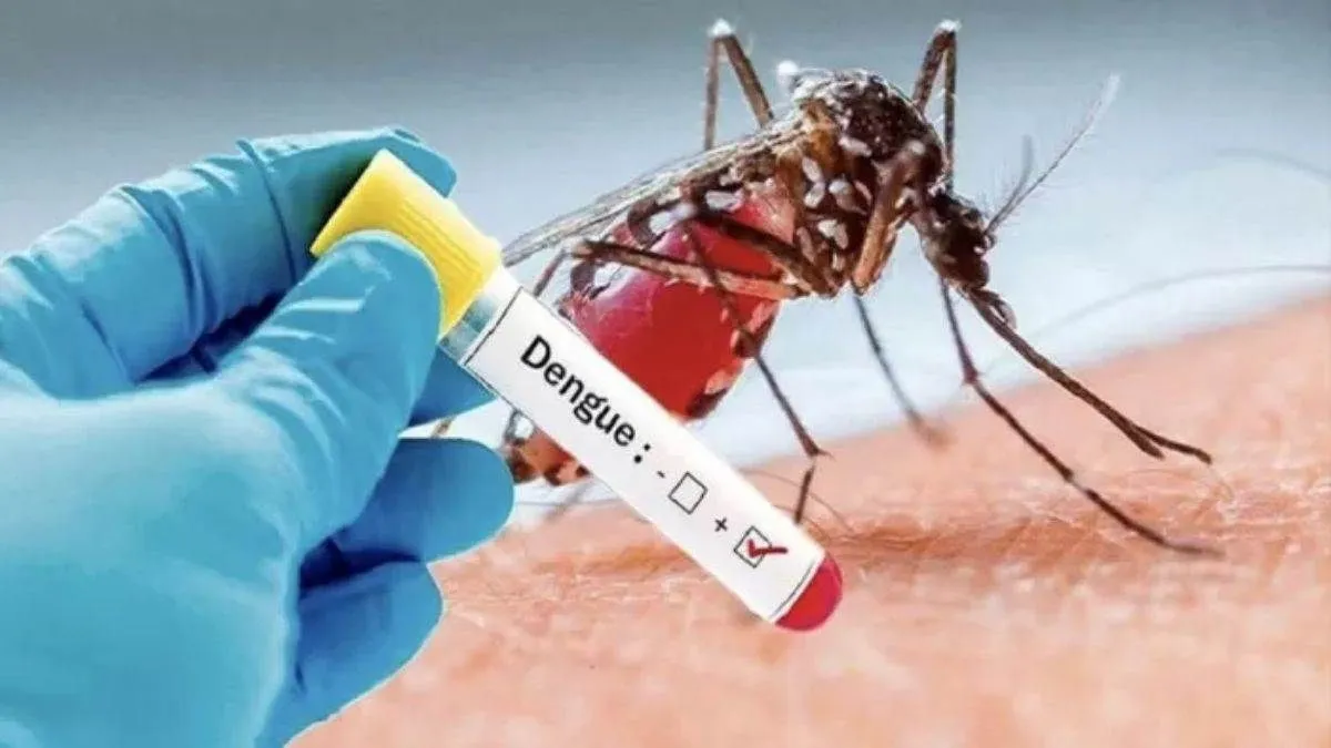dengue outbreak continues in gurdaspur despite winter 10 new cases