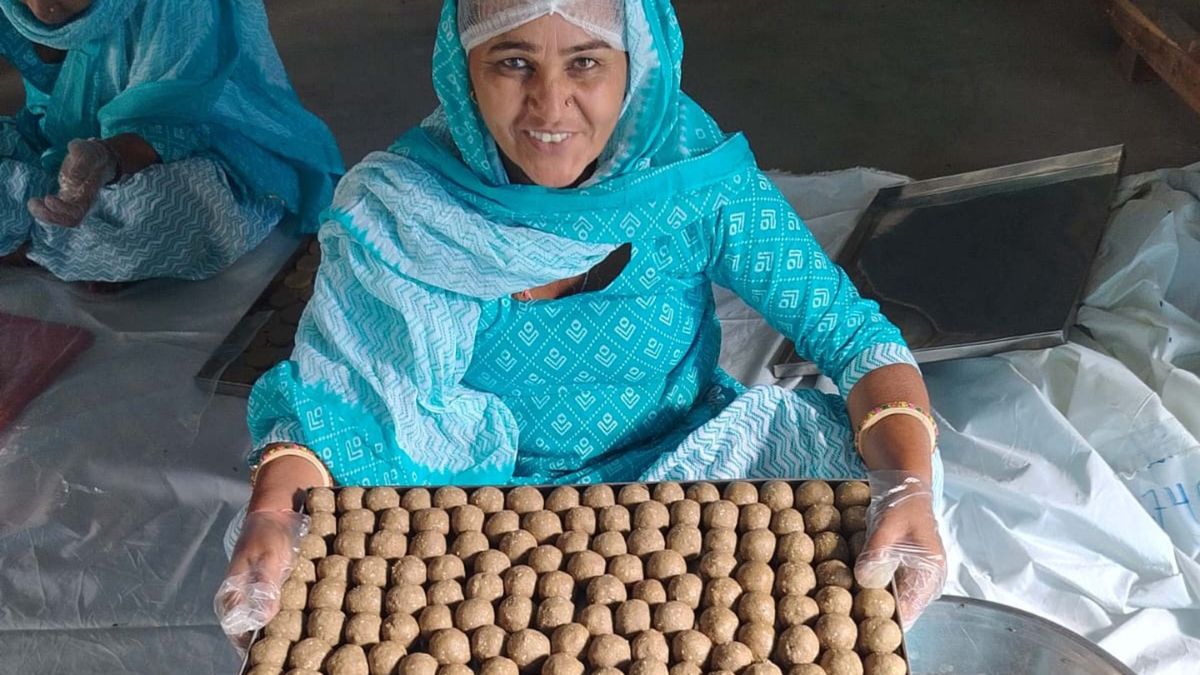 gond ke laddu winter delight from kanina to usa a sweet success