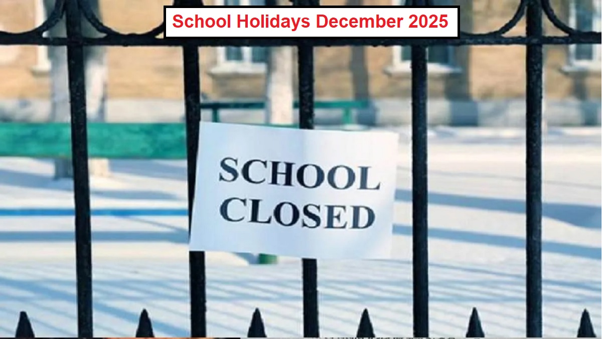 school holidays december 2025 schools will remain closed for christmas and winter vacations in december check the dates