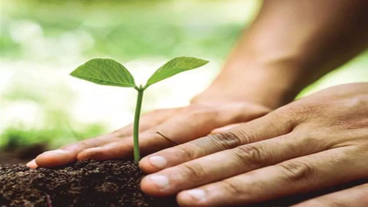 social forestry scheme increased funding and focus on employment