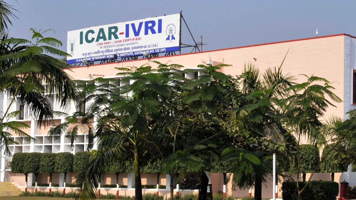 ivrisecuresnaacadoubleplusgradehighestamongicardeemeduniversities