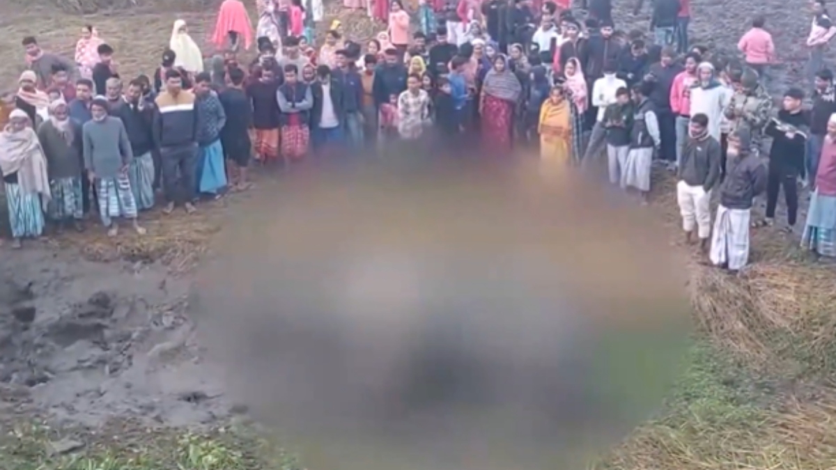 elephant killed in train collision in jalpaiguri bengal cub found injured