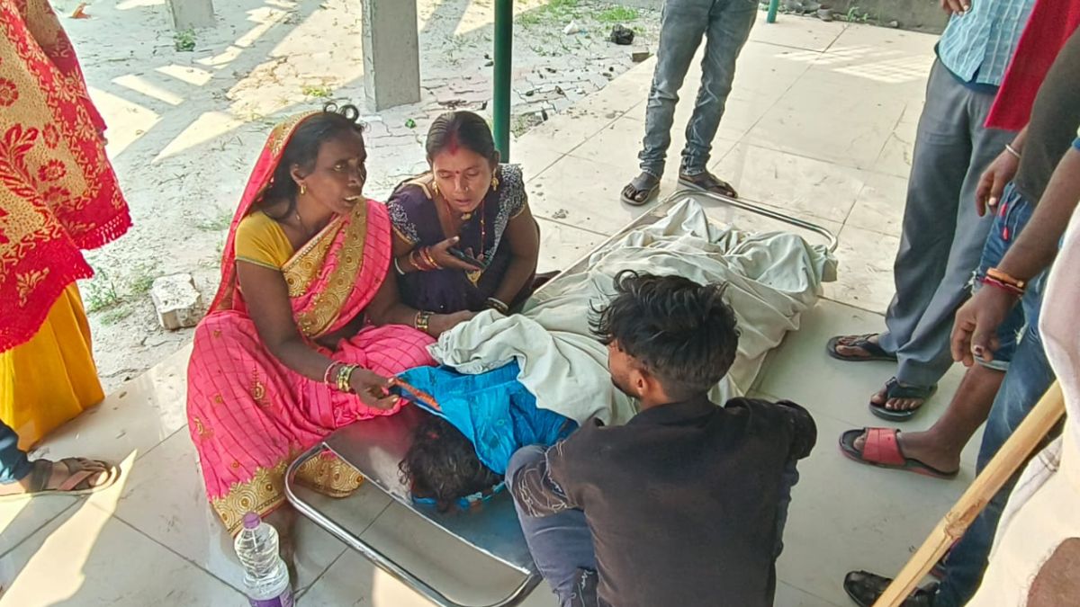 fatal accident on nh 31 woman killed in toto truck collision