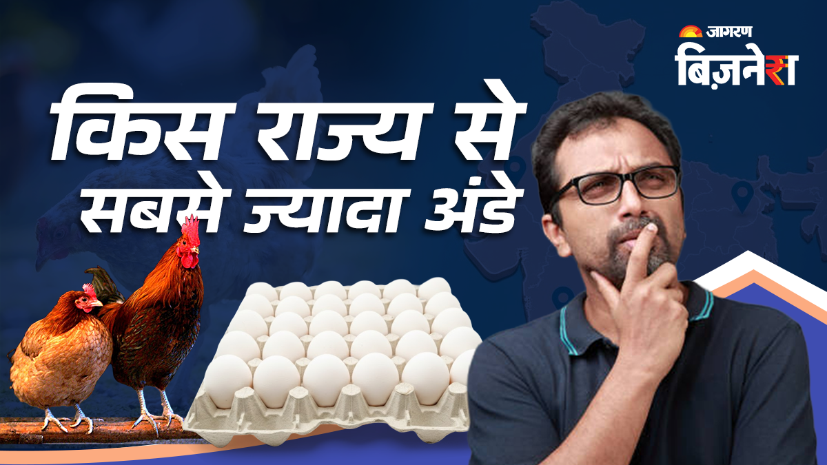 top 5 egg producing state in india andhra pradesh leads the way
