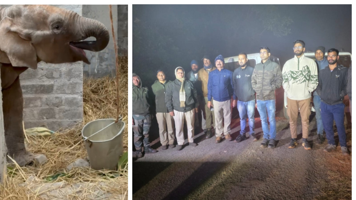 kyonjhar elephant rescue forest dept uses drones to reunite calf