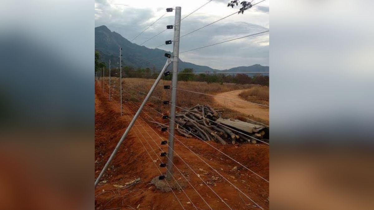 solar fencing scheme last chance for bundelkhand farmers apply by december 31