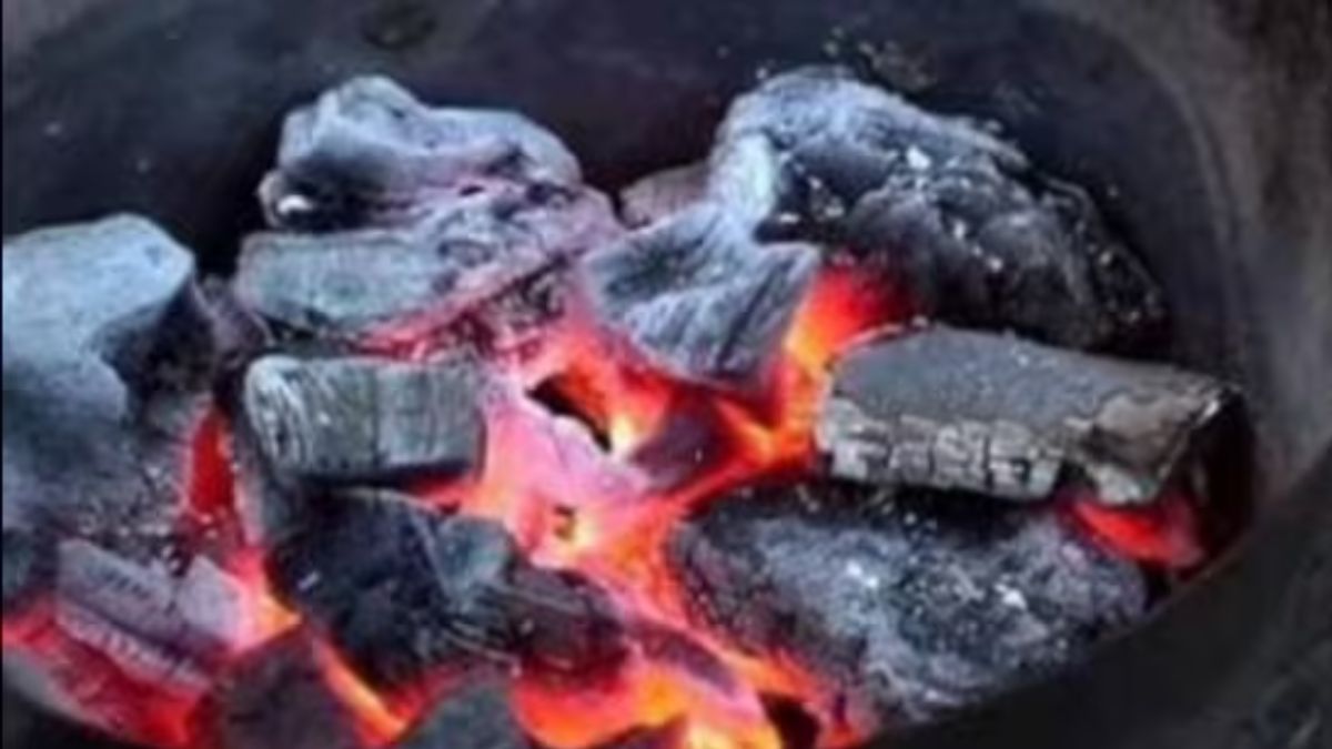 noida cold wave advisory safety tips and precautions