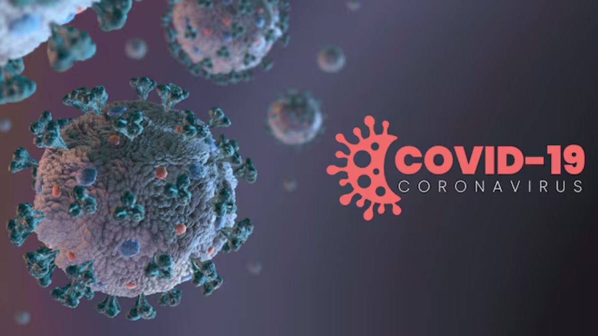 6 years ago on december 2019 world saw the 1st case of covid 19 check details here