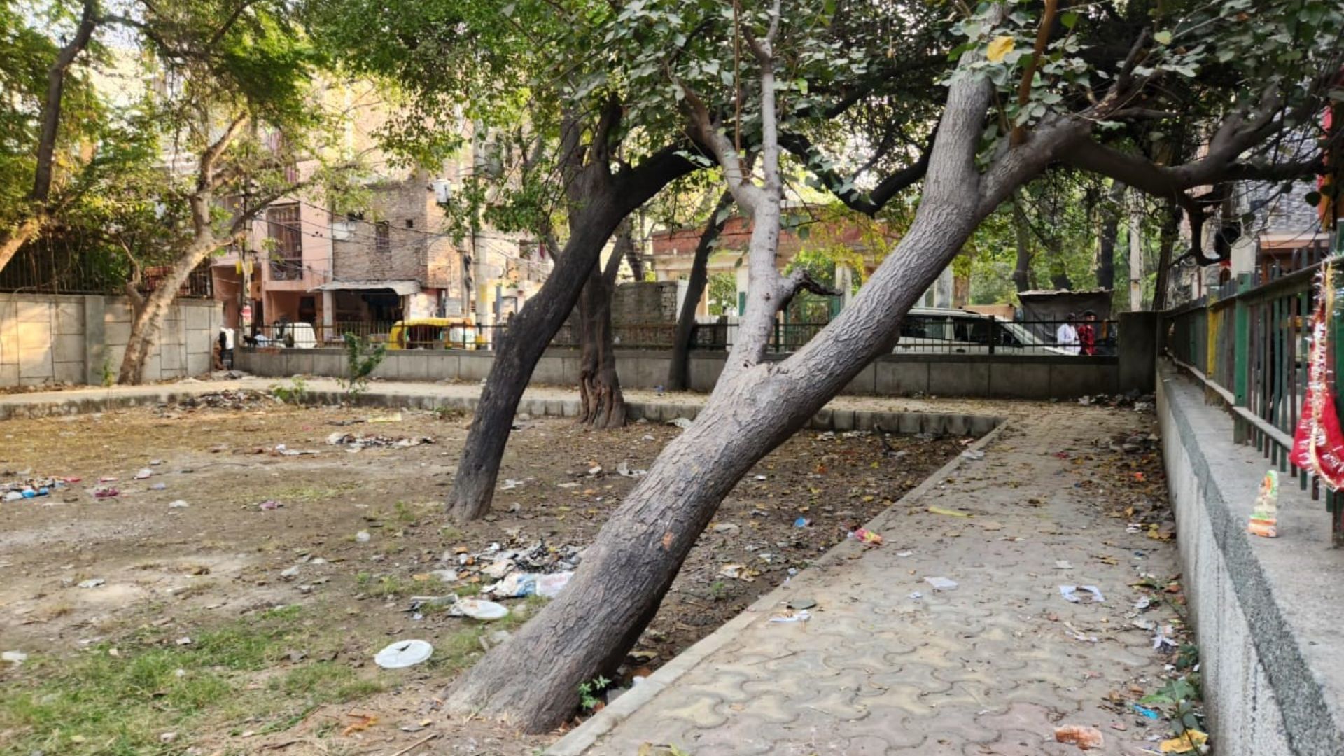 sultanpuri leaning trees pose danger to residents in delhi