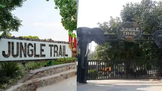 सेक्टर-94 स्थित ये जंगल ट्रेल पार्क कबाड़ से बनाया गया है।