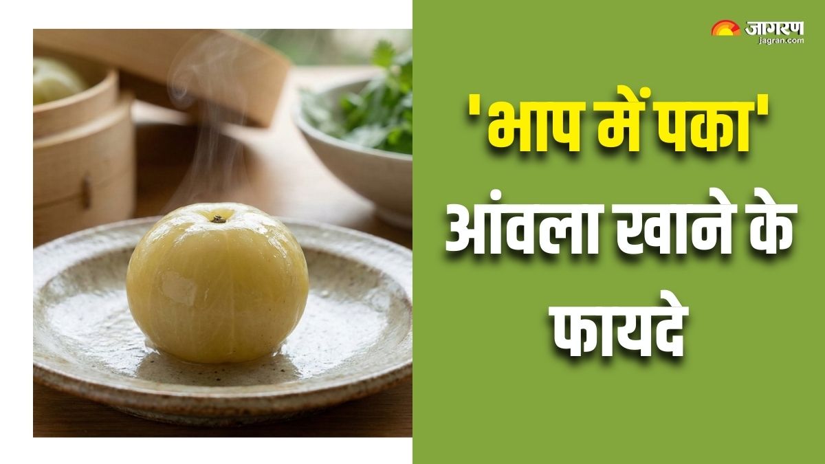 5 benefits of eating one steamed amla everyday check details here