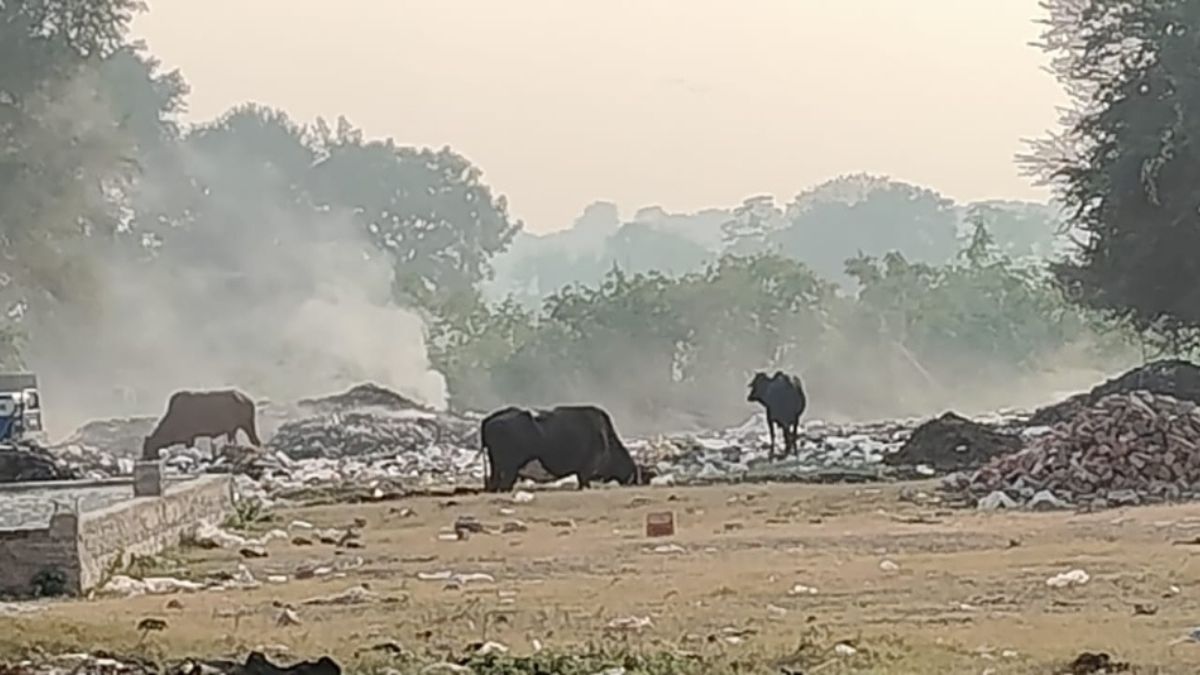 pilibhit municipal council violates ngt norms burning waste at feelkhana cemetery causing toxic smoke