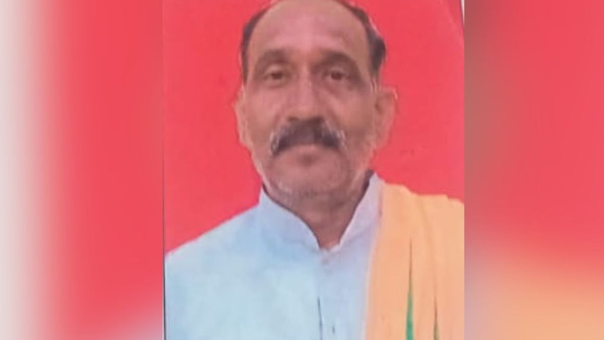 deadly bee attack man dies after swarm attack in bijnor