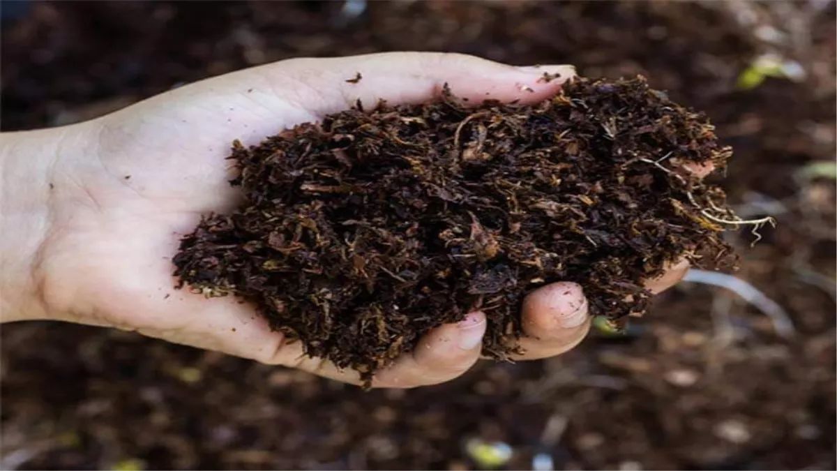 delhi society pioneers zero waste segregates wet dry medical and ewaste