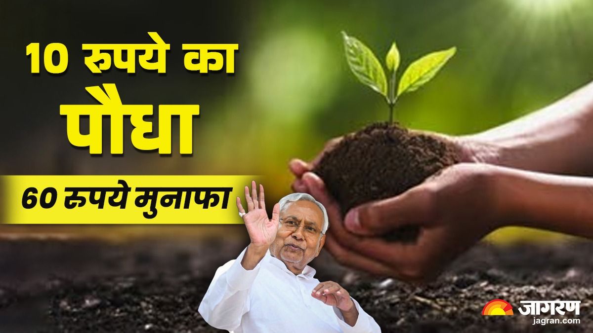 krishi vaniki yojana get plants at 10 and earn 6x profit in bihar