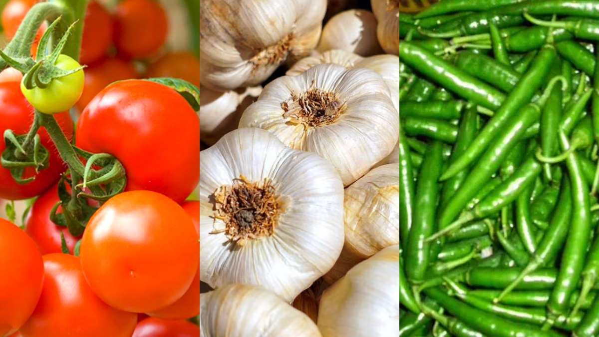 subsidy for tomato garlic and chili farming in bihar