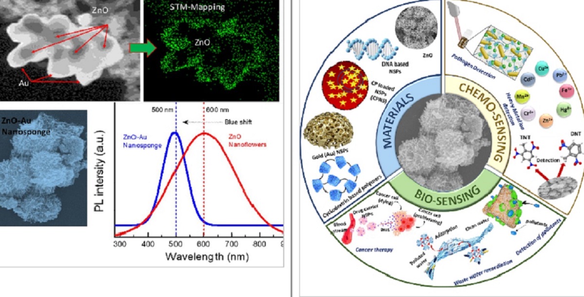 ccsu msc students publish highquality review on nanosponge