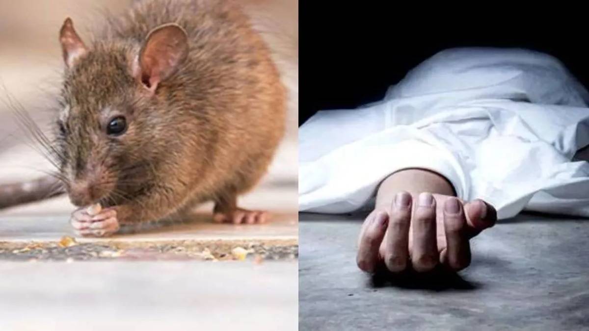 nhrc takes cognizance of corpse gnawing incident in jind