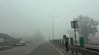 जिला मंडी के बल्ह क्षेत्र में पड़ा कोहरा। जागरण