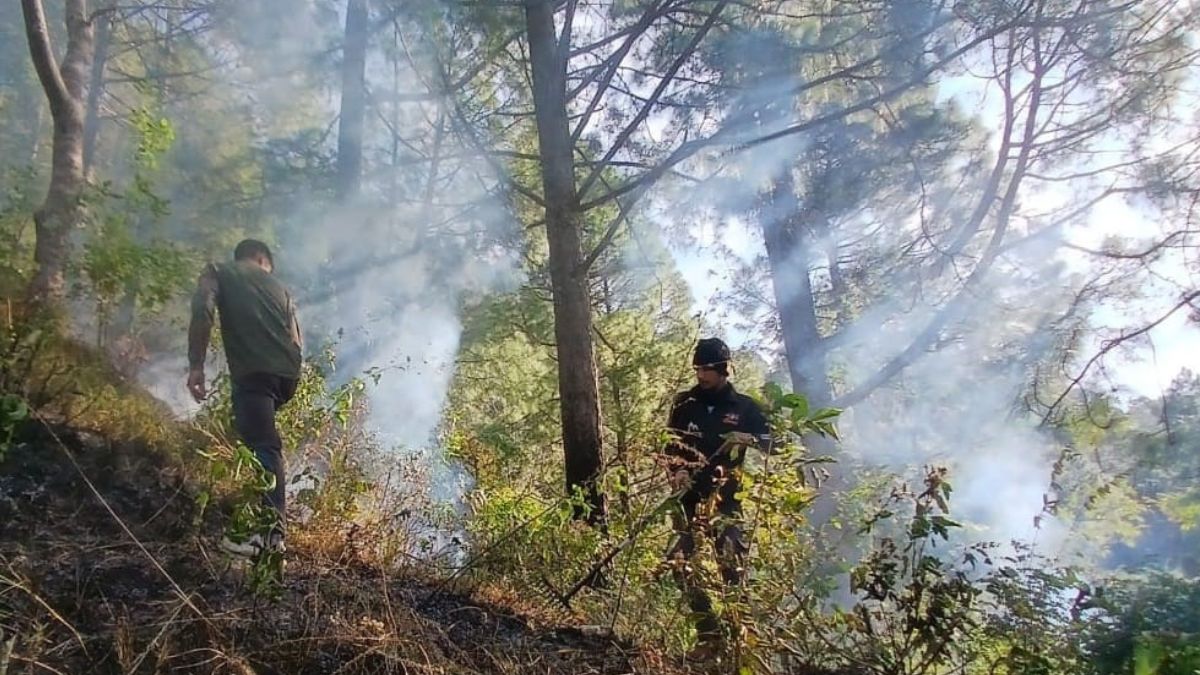 forest fires break out in winter forest workers face challenges to control them