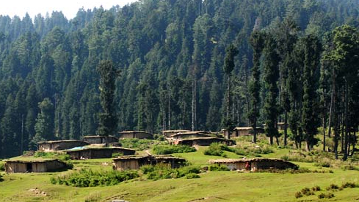 government land encroachment in jammu division 12510 kanal seized