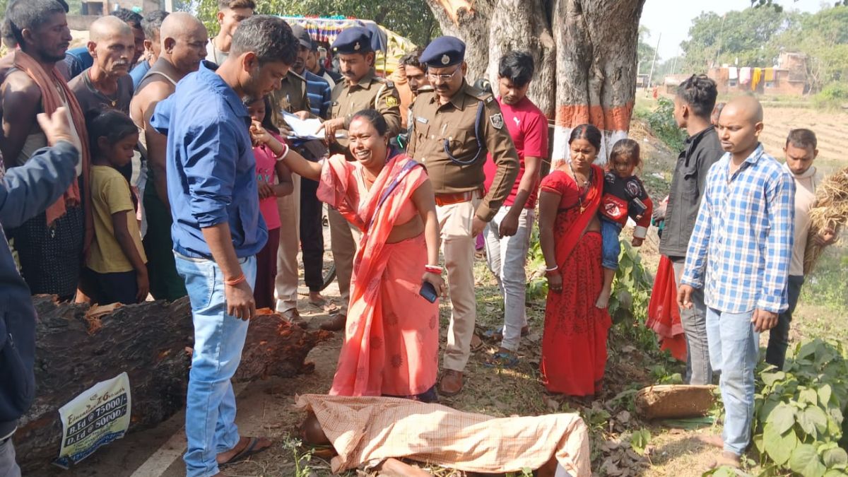 jamui container hits tree one dead three injured