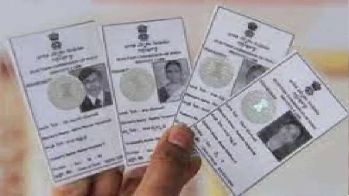 voter id cards found in nadia investigation underway