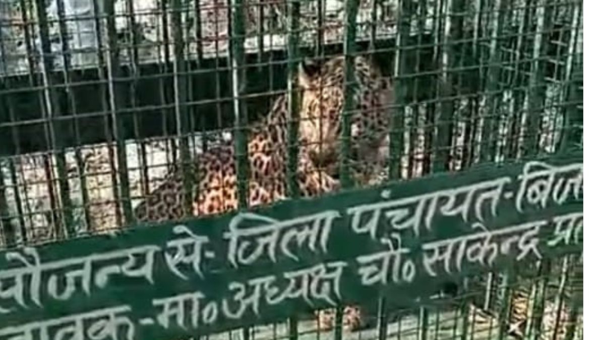 guldar captured in bijnor villagers relieved