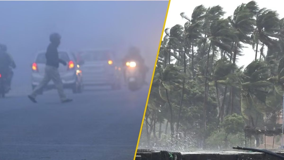 aaj ka mausam north india cold wave cyclone ditwah hits south know today weather update