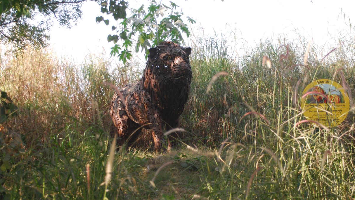 noida jungle trail wastetowildlife park opens with scrap art know more details here