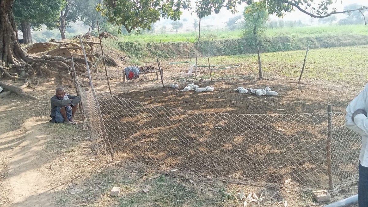 mirzapur 40 sheep stolen overnight police investigate