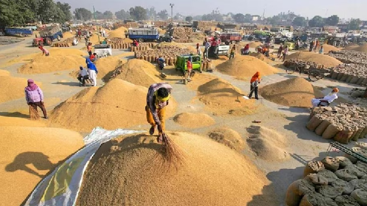 bihar govt focuses on paddy procurement for 202526 aims for timely payments