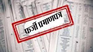 anganwadi worker sacked for fake residence certificate