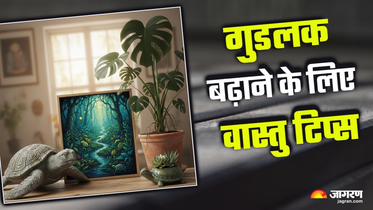 vastu tips enhance good luck by keeping these things at home