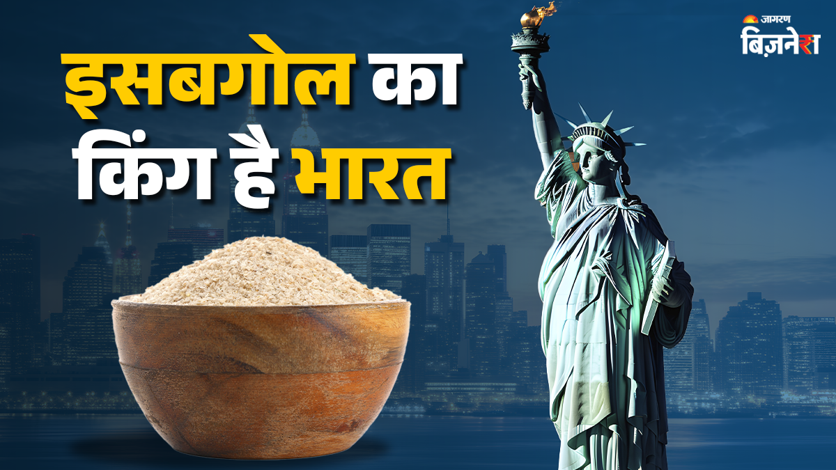 india is largest isabgol exporter and producer us is top importer