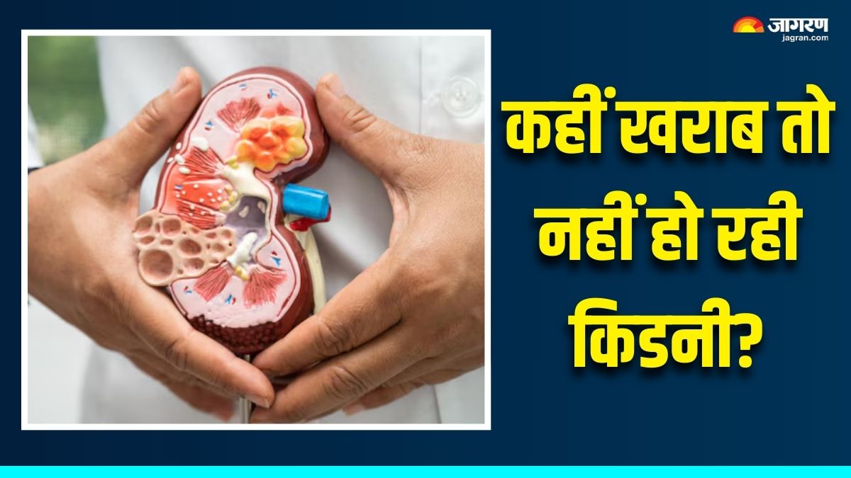 kidney disease symptoms apart from urine changes which should not be ignored check details here