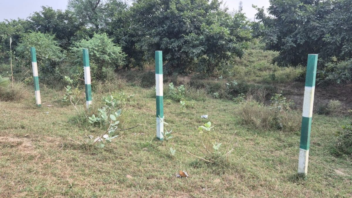 barbed wire worth lakhs of rupees stolen from the service road of lucknow expressway