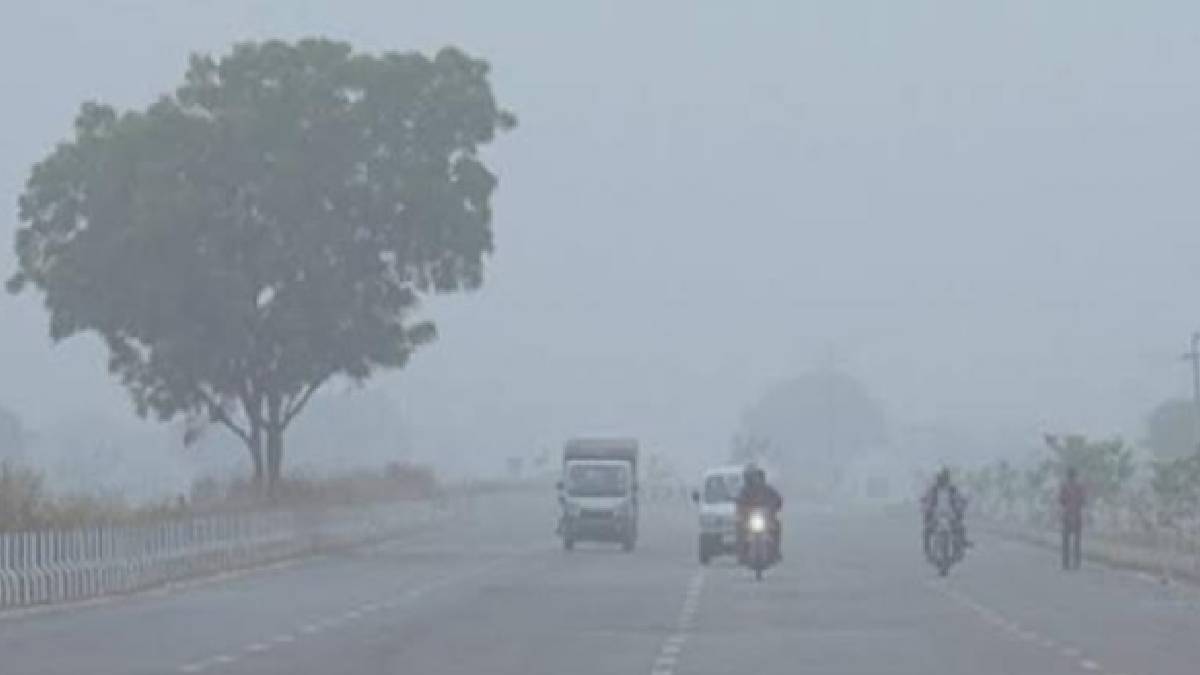 haryana cold wave mercury drops to 3 degrees yellow alert issued