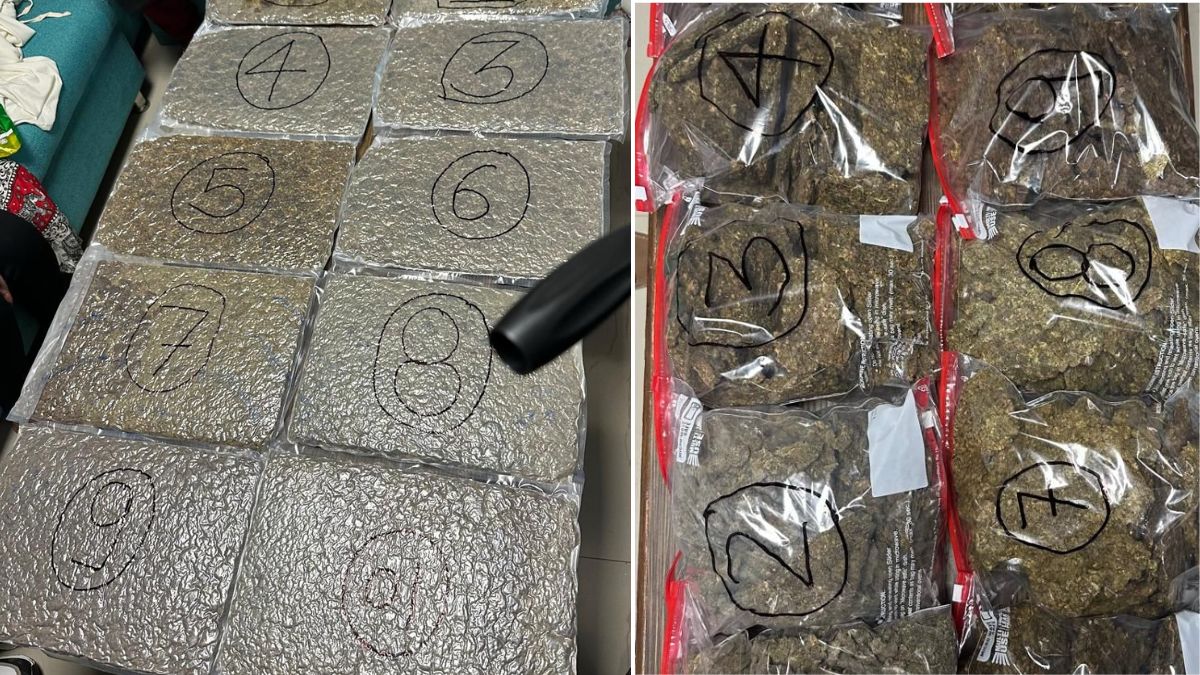 lucknow airport directorate of revenue intelligence seized 127 kg high potency cannabis price in international market is 13 crores three indian arrested