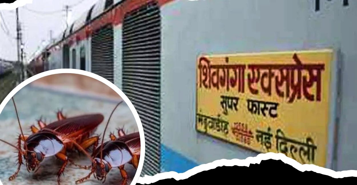 indian railways news cockroaches in shiv ganga express passengers express displeasure