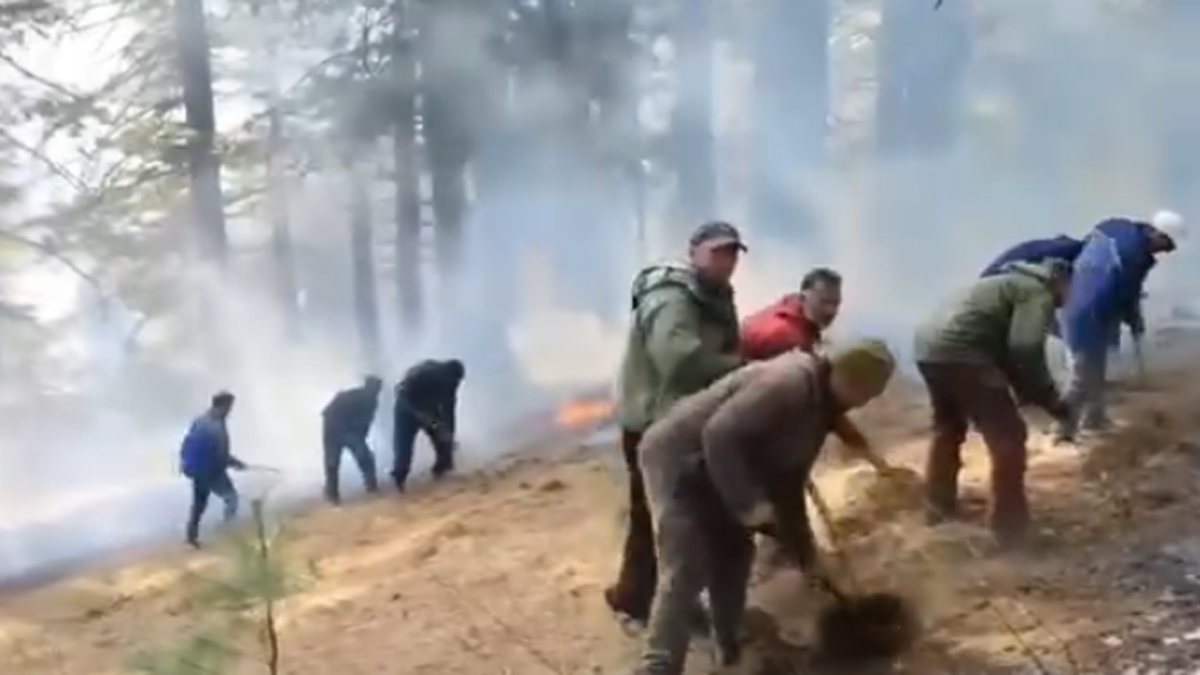 gurez forest fire near loc contained after 7 days