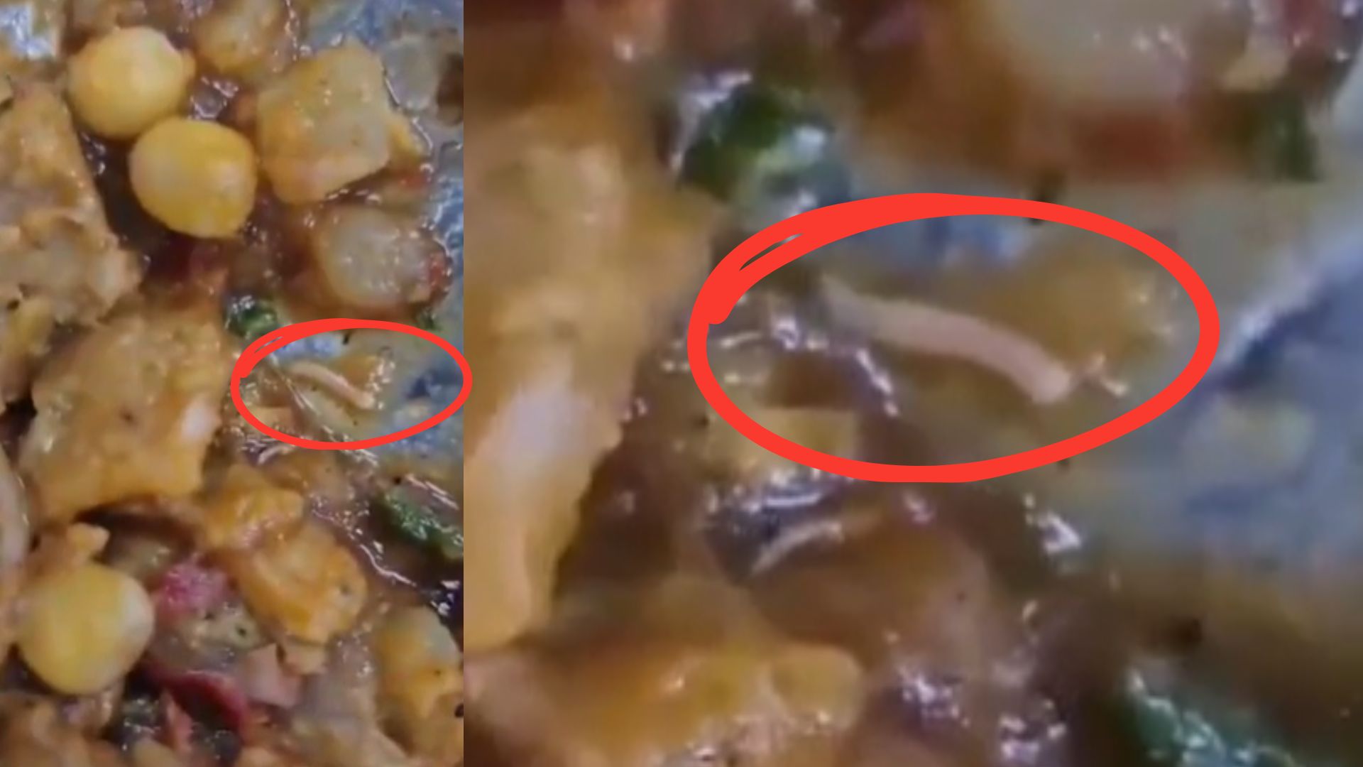 bennett university mess food students protest after worms found