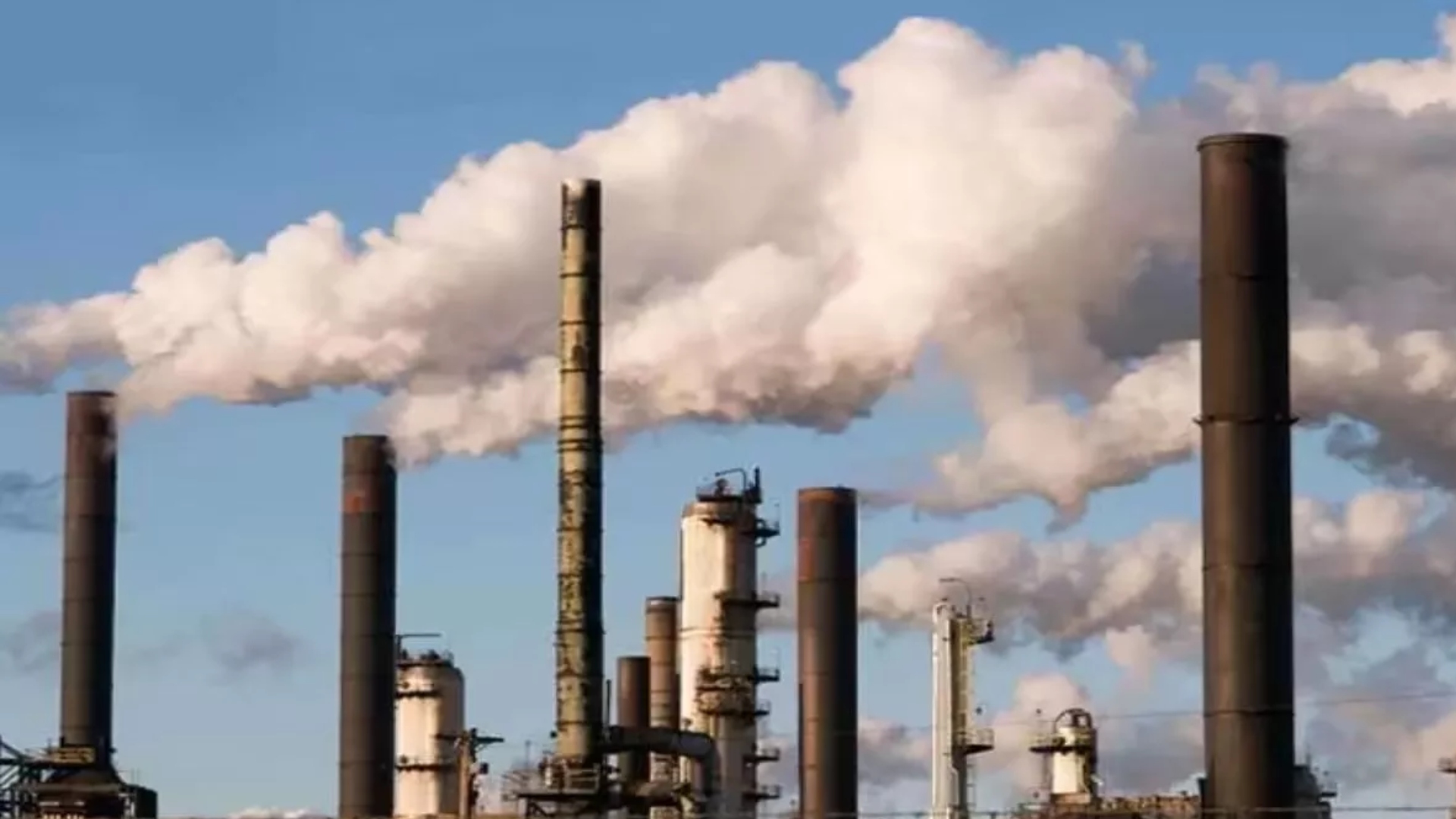 delhi pollution alert impact on male and female fertility