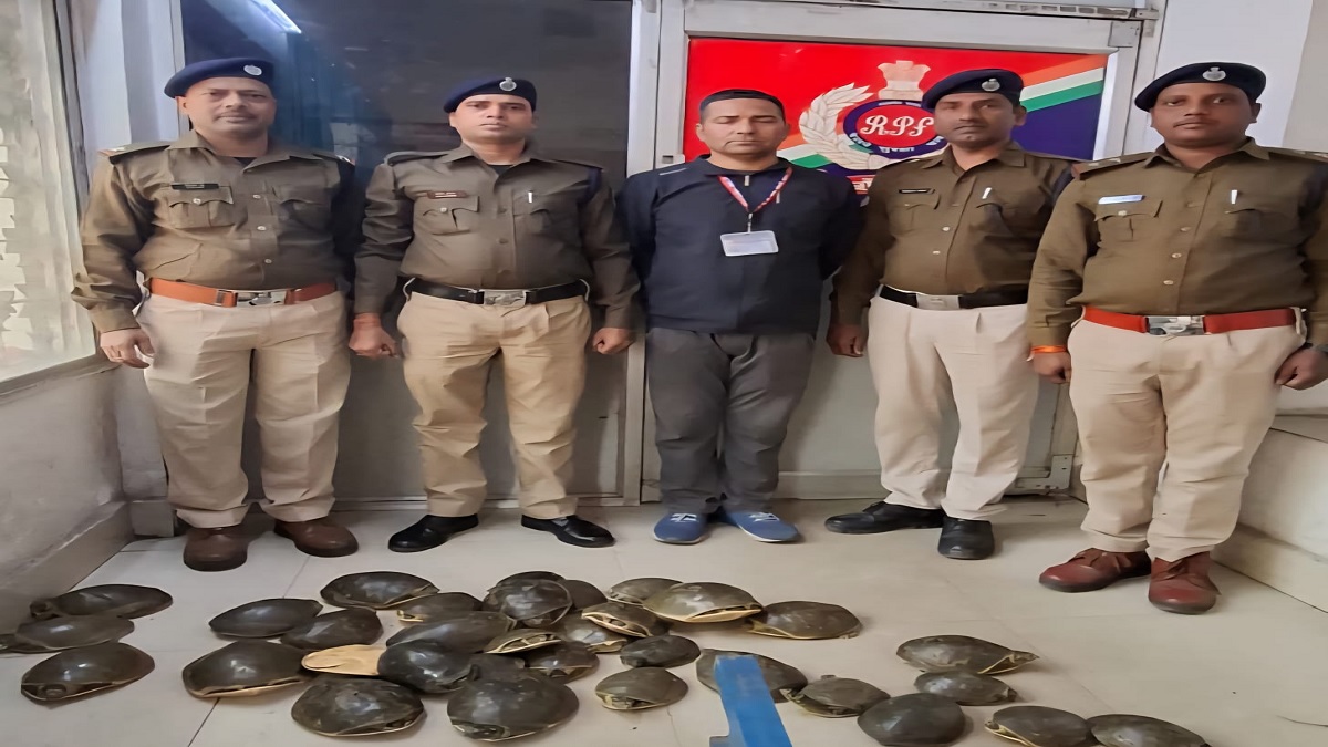 turtle smuggling continues unabated 35 turtles seized again from doon express