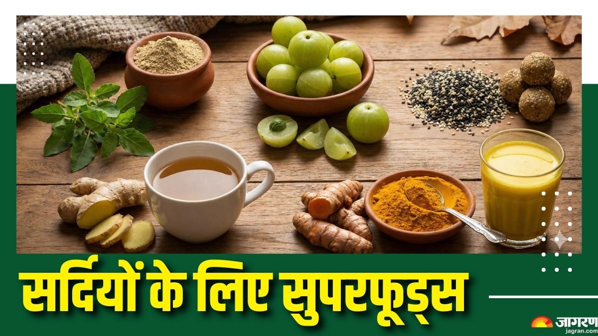 5 foods you must include in your diet for strong immunity check details here