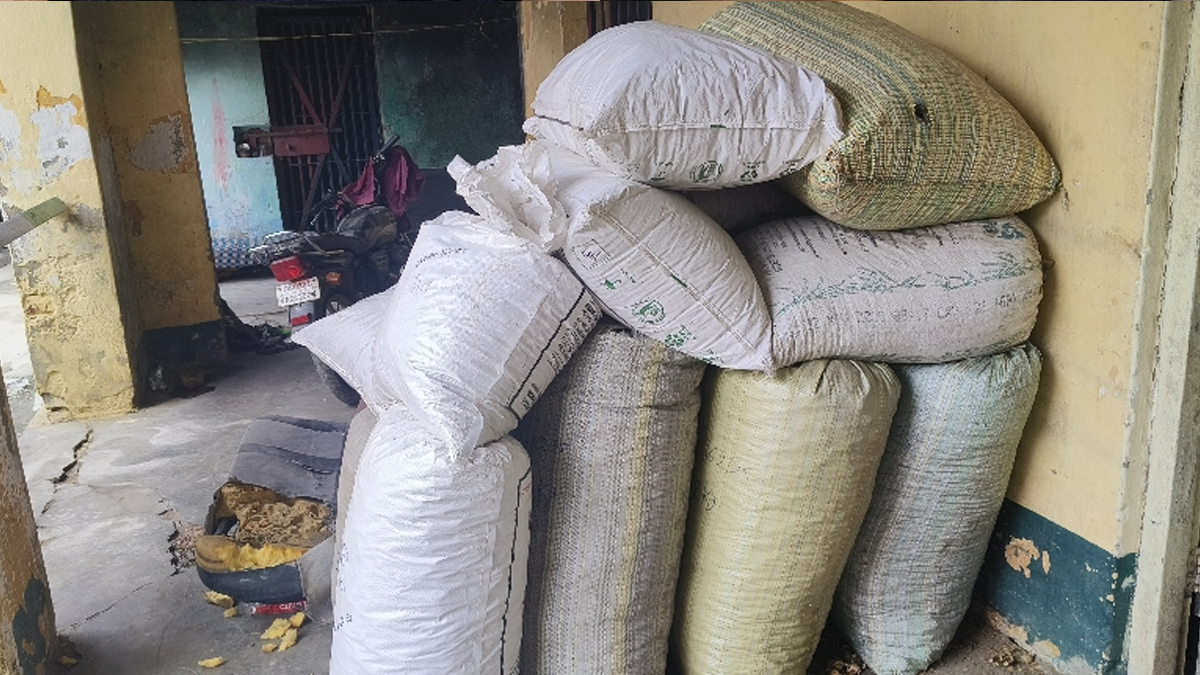 gaya opium cultivation illegal farming and drug trafficking in bihar