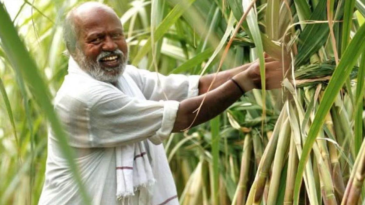 up sugarcane farmers now participating in policy making direct access to government