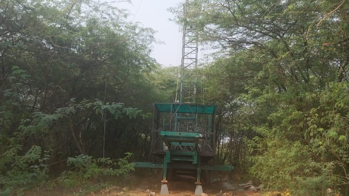 faridabad 12 mobile towers to be removed from aravali forest