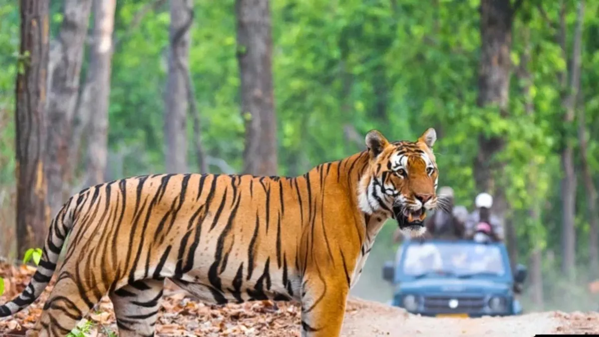 up ecotourism boost 161 crore spent on wildlife conservation