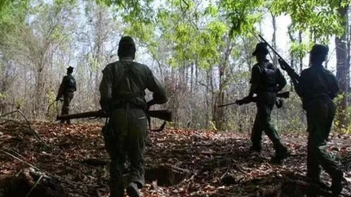 cg naxal encounter 18 maoists killed in a 48hour encounter on bijapurdantewada border